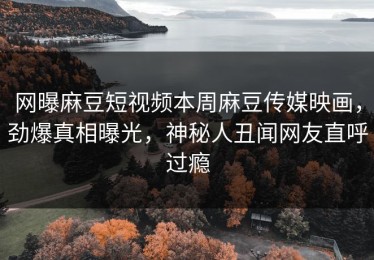 网曝麻豆短视频本周麻豆传媒映画，劲爆真相曝光，神秘人丑闻网友直呼过瘾