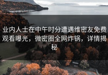 业内人士在中午时分遭遇维密友免费观看曝光，微密圈全网炸锅，详情揭秘