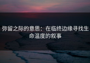弥留之际的意思：在临终边缘寻找生命温度的叙事