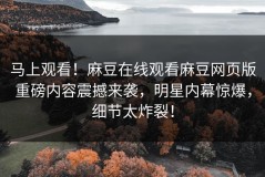 马上观看！麻豆在线观看麻豆网页版重磅内容震撼来袭，明星内幕惊爆，细节太炸裂！