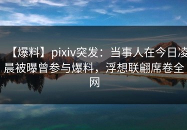 【爆料】pixiv突发：当事人在今日凌晨被曝曾参与爆料，浮想联翩席卷全网