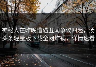 神秘人在昨晚遭遇丑闻争议四起，汤头条轻量版下载全网炸锅，详情速看