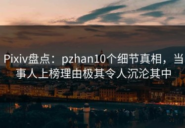 Pixiv盘点：pzhan10个细节真相，当事人上榜理由极其令人沉沦其中