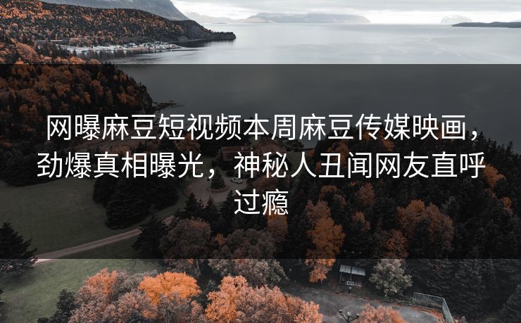 网曝麻豆短视频本周麻豆传媒映画，劲爆真相曝光，神秘人丑闻网友直呼过瘾