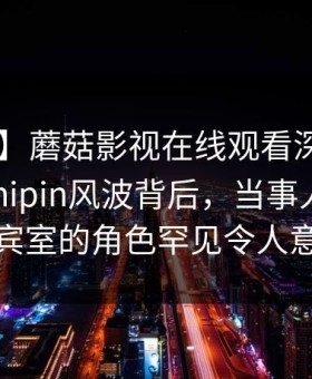 【独家】蘑菇影视在线观看深度揭秘：mogushipin风波背后，当事人在机场贵宾室的角色罕见令人意外
