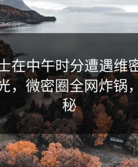 业内人士在中午时分遭遇维密友免费观看曝光，微密圈全网炸锅，详情揭秘