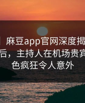 【独家】麻豆app官网深度揭秘：秘闻风波背后，主持人在机场贵宾室的角色疯狂令人意外
