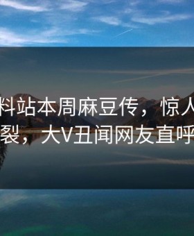 网曝爆料站本周麻豆传，惊人真相全网炸裂，大V丑闻网友直呼过瘾