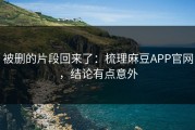 被删的片段回来了：梳理麻豆APP官网，结论有点意外
