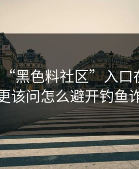 别再问“黑色料社区”入口在哪了：你更该问怎么避开钓鱼诈骗