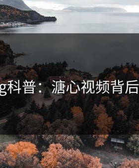 糖心vlog科普：溏心视频背后3种类型