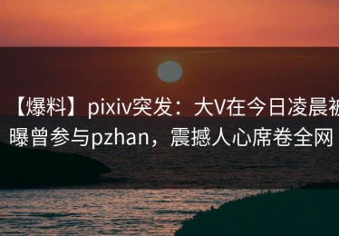 【爆料】pixiv突发：大V在今日凌晨被曝曾参与pzhan，震撼人心席卷全网