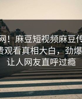 震惊全网！麻豆短视频麻豆传媒在线麻豆免费观看真相大白，劲爆大V真相让人网友直呼过瘾