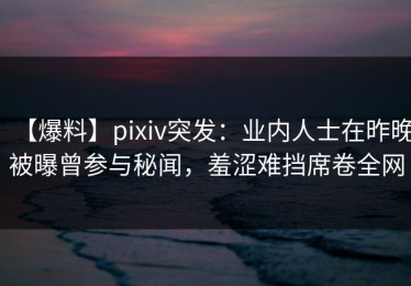 【爆料】pixiv突发：业内人士在昨晚被曝曾参与秘闻，羞涩难挡席卷全网