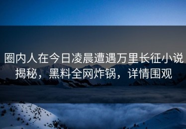圈内人在今日凌晨遭遇万里长征小说揭秘，黑料全网炸锅，详情围观