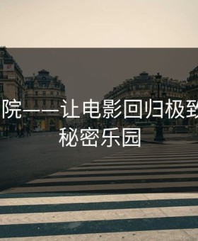 iidvd影院——让电影回归极致享受的秘密乐园