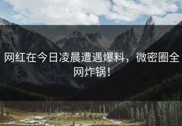 网红在今日凌晨遭遇爆料，微密圈全网炸锅！
