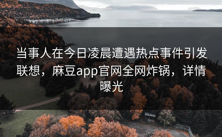 当事人在今日凌晨遭遇热点事件引发联想，麻豆app官网全网炸锅，详情曝光